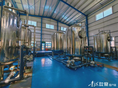 青海天健硅業(yè)的綠色發(fā)展啟示